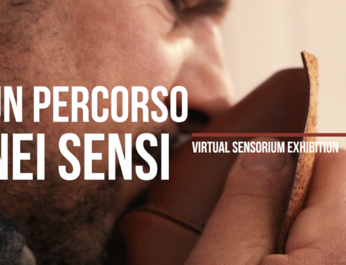 Virtual Sensorium Exhibition – Videostorytelling